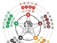 五行生克与人生运势——木火土金水的奥秘